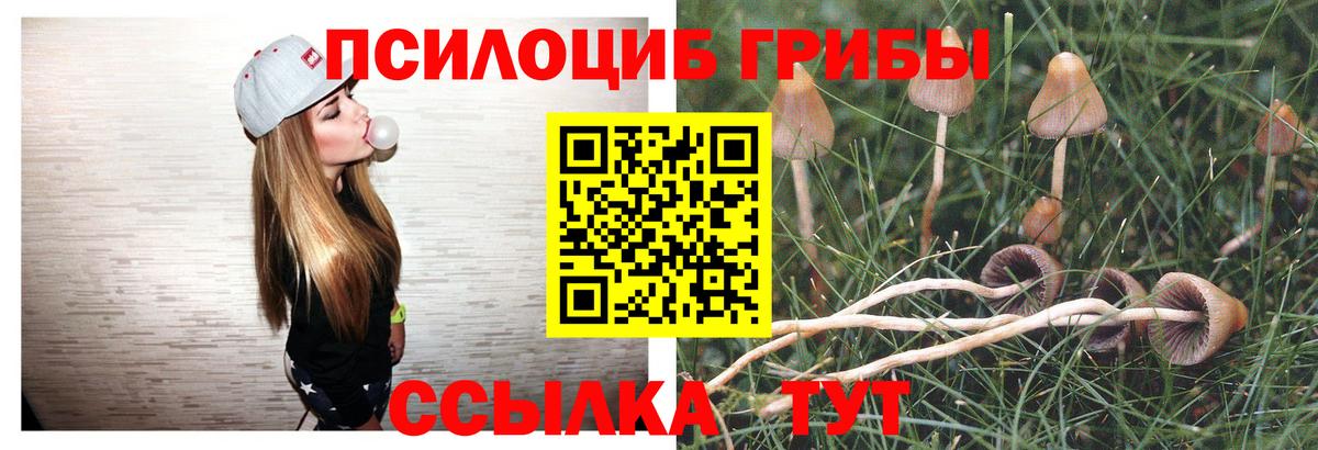 Галлюциногенные грибы MAGIC MUSHROOMS Дзержинский