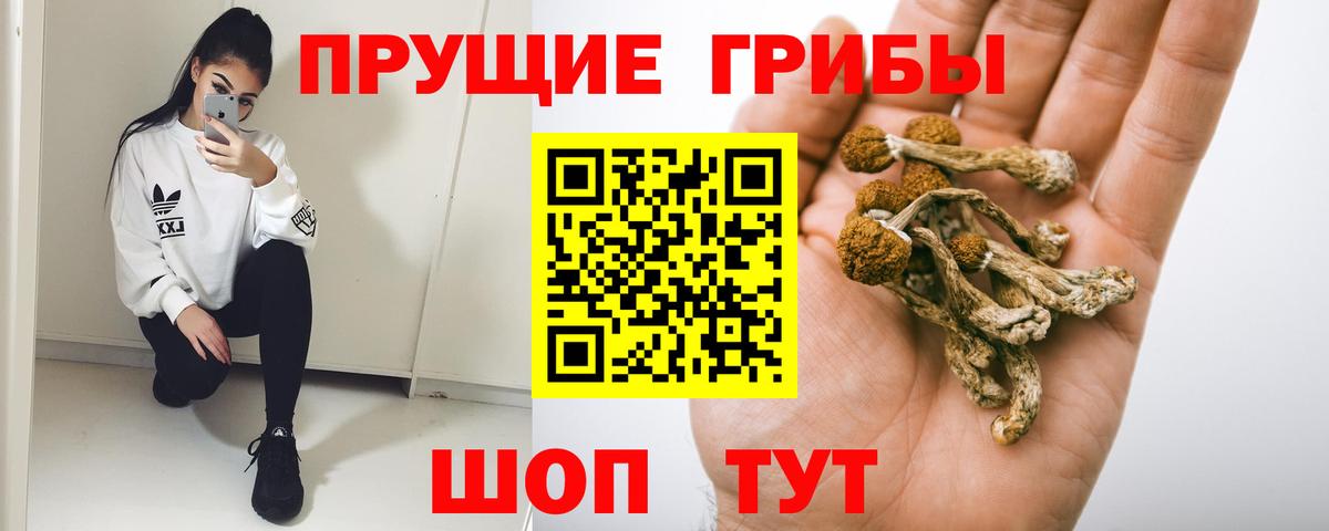 Галлюциногенные грибы Psilocybine cubensis  Вход с VPN  наркота  Дзержинский 